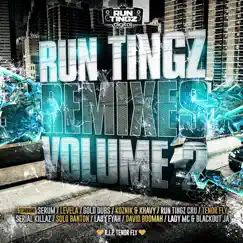 Run Tingz Remixes, Vol. 2 - EP by Run Tingz Cru album reviews, ratings, credits