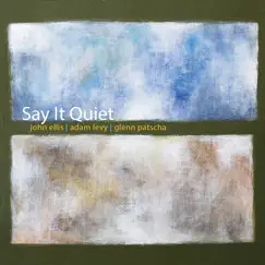 Say It Quiet by John Ellis, Adam Levy & Glenn Patscha album reviews, ratings, credits