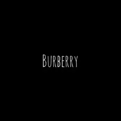 Burberry - Single by DougboyFuego album reviews, ratings, credits