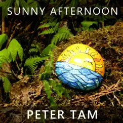 Sunny Afternoon - Single by Peter Tam album reviews, ratings, credits