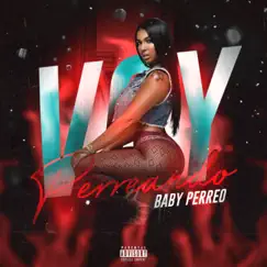 Voy Perreando - Single by Baby Perreo album reviews, ratings, credits