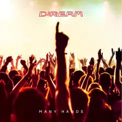 Many Hands (Pete Herbert Remix) Song Lyrics