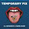 Temporary Fix - Single album lyrics, reviews, download