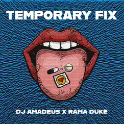 Temporary Fix - Single by DJ Amadeus & Rama Duke album reviews, ratings, credits
