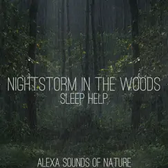 Nightstorm in the Woods - Sleep Help - Single by Alexa Sounds of Nature album reviews, ratings, credits