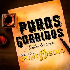 Puros Corridos, Tinta De Casa by Banda Punto Medio album reviews, ratings, credits