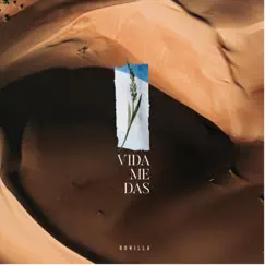 Vida Me Das - Single by Bonilla album reviews, ratings, credits