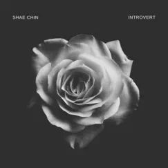 Introvert - Single by Shae Chin album reviews, ratings, credits