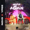 Never Again (feat. Ypee) song lyrics