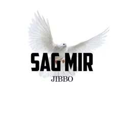 SAG MIR Song Lyrics