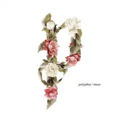 Muse by Polyphia album reviews, ratings, credits