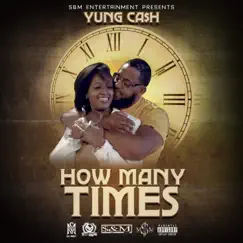 How Many Times Song Lyrics