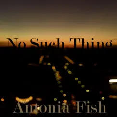 No Such Thing (Just a Thought Remix) Song Lyrics