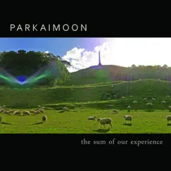 The Sum of Our Experience by Parkaimoon album reviews, ratings, credits