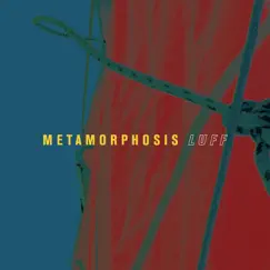Luff (feat. Richard Deutsch, Martin Alacam, Christoph Pajer & Jan Kavan) by Metamorphosis album reviews, ratings, credits