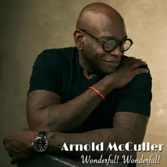 Wonderful! Wonderful! - Single by Arnold McCuller album reviews, ratings, credits