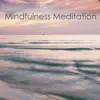 Mindfulness Meditation – Vipassana Healing Music for Mindfulness & Awareness album lyrics, reviews, download
