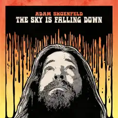 The Sky is Falling Down - Single by Adam Shoenfeld album reviews, ratings, credits