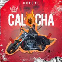 Calocha - Single by Chacal album reviews, ratings, credits