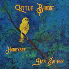 Little Birdie (feat. Dan Suther) - Single by Honeybee album reviews, ratings, credits