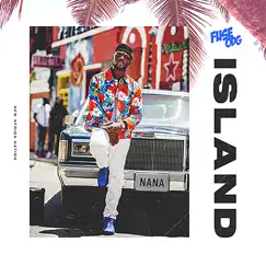 Island - Single by Fuse ODG album reviews, ratings, credits