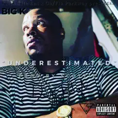 Underestimated - Single by Big K album reviews, ratings, credits