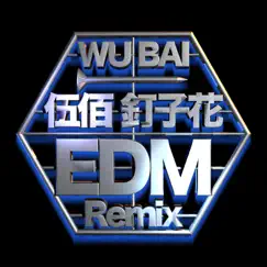 我心內 (CYH Remix) Song Lyrics