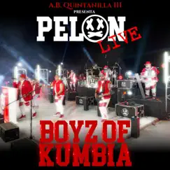 Pelón (Live) - Single by Boyz of Kumbia album reviews, ratings, credits