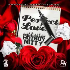 Perfect Love - Single by Hotboy Nitty album reviews, ratings, credits