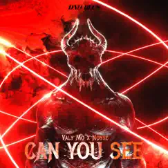 Can You See - Single by Valy Mo & Noyse album reviews, ratings, credits