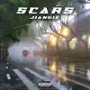 Scars (feat. KalvXn) song lyrics