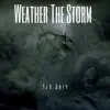 Weather the Storm - Single album lyrics, reviews, download