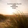 Comfortably Numb - Single album lyrics, reviews, download