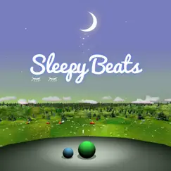 Counting Sheep by Sleepy Beats album reviews, ratings, credits