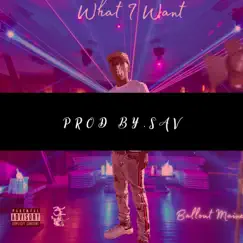 What I Want - Single by Ballout Maine album reviews, ratings, credits