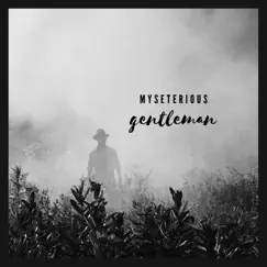 Mysterious Gentleman - Single by Junior Pavilion album reviews, ratings, credits