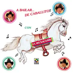 No Bailes De Caballito Song Lyrics