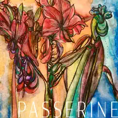 Passerine (feat. Ailerons & The Alice Band) - EP by Passerine, Jill Stevenson & Red Sky July album reviews, ratings, credits