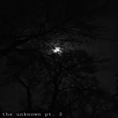 The Unknown, Pt. 2 Song Lyrics