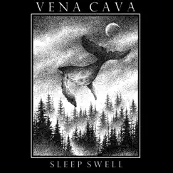 Sleep Swell - Single by Vena Cava album reviews, ratings, credits