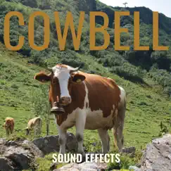 Cowbell Sound Effects Song Lyrics