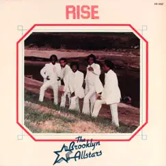 I'll Rise Again (feat. The Brooklyn Allstars) Song Lyrics