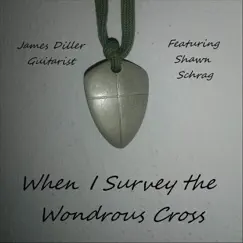 When I Survey the Wondrous Cross (feat. Shawn Schrag) - Single by James Diller album reviews, ratings, credits
