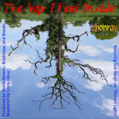 The Way I Feel Inside by Zhonray album reviews, ratings, credits