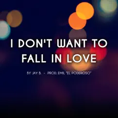 I Don't Want to Fall in Love Song Lyrics
