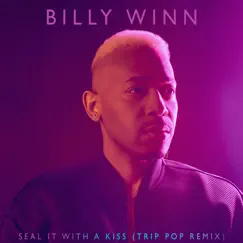Seal It with a Kiss (Trip Pop Remix) - Single by Billy Winn album reviews, ratings, credits