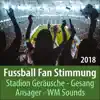 Fußball Fan Stimmung 2018, Stadion Geräusche, Gesang, Ansager, WM Sounds album lyrics, reviews, download