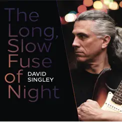 The Long, Slow Fuse of Night by David Singley album reviews, ratings, credits