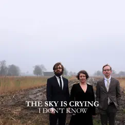 I Don't Know - Single by The Sky Is Crying album reviews, ratings, credits