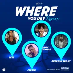 Where You Dey (feat. Efraim, Leez, Annie Daymar & Pharaoh the 47) [Mello remix] [Mello remix] - Single by Malviq album reviews, ratings, credits